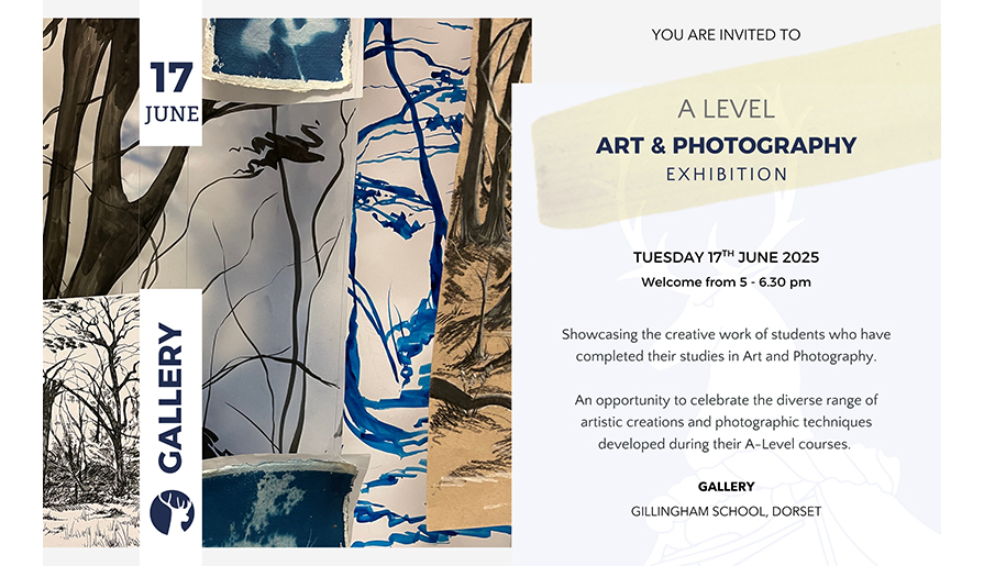 A Level Art & Photography Exhibition Tuesday 17th June, All welcome 5-6.30pm Gallery Gillingham School