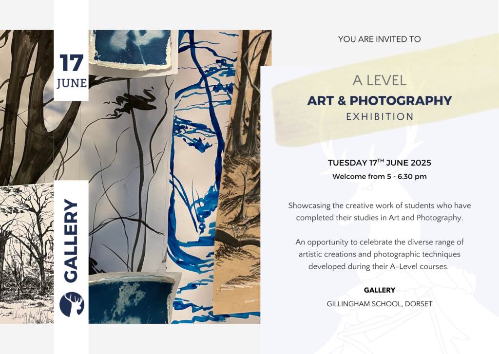 A Level Art & Photography Exhibition Tuesday 17th June in the Gallery Gillingham School