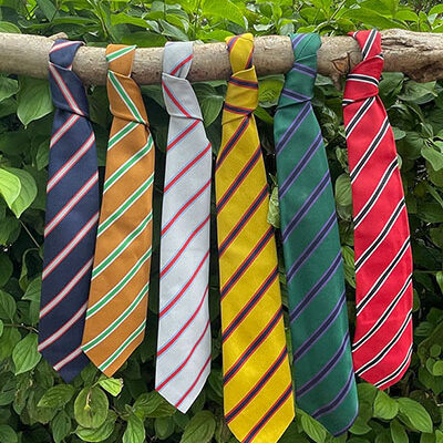 Gillingham School, Dorset. Awards, Badges and Ties; Normal School Tie, Bronze, Silver, Gold, Creative Arts Tie, Sports Tie