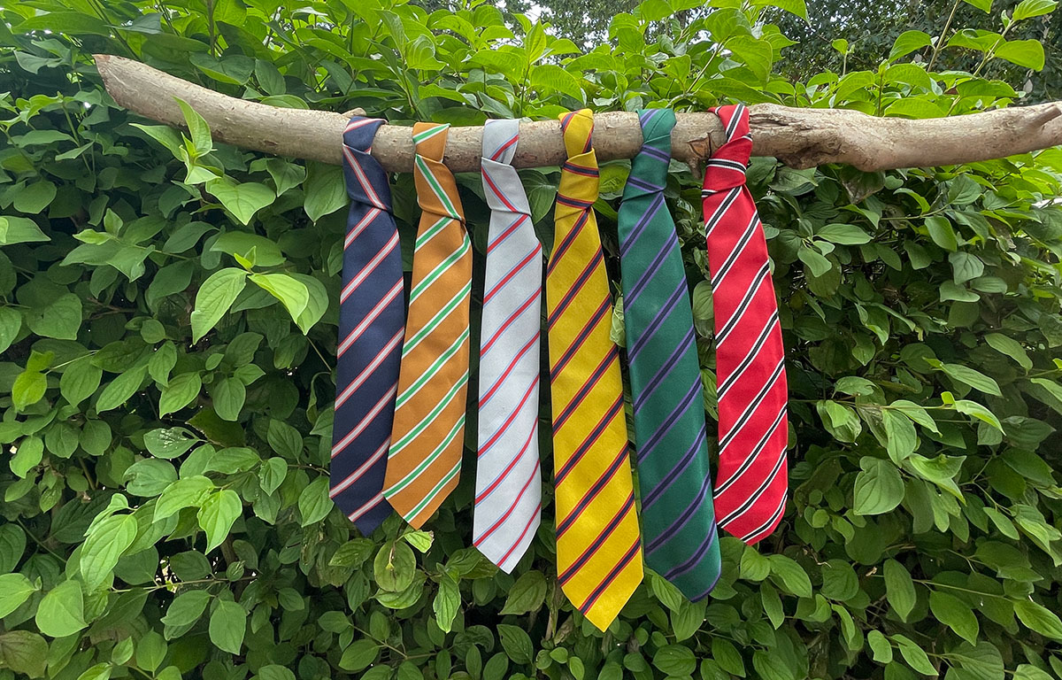 Gillingham School Dorset Award Ties from year 7 through to year 11