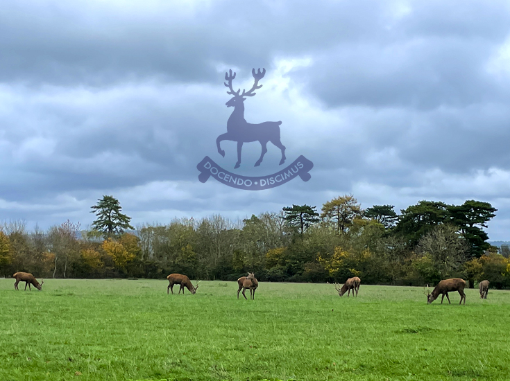 The Hart Award, Gillingham School Dorset