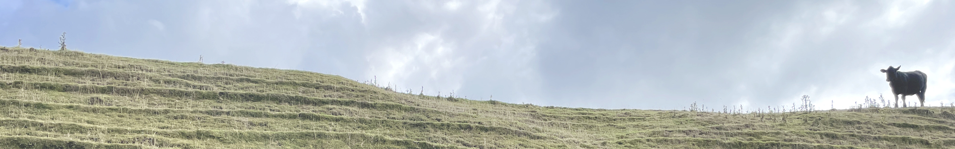 Working at Gillingham School in North Dorset.