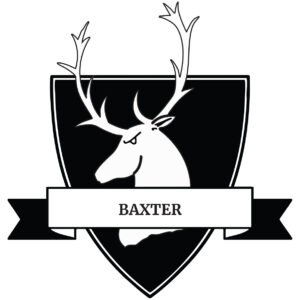 Gillingham School, Dorset House Baxter Logo