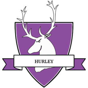 Gillingham School Dorset House Hurley Logo