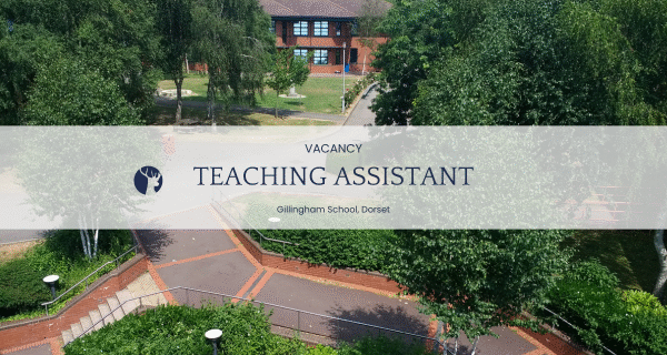 Teaching Assistants