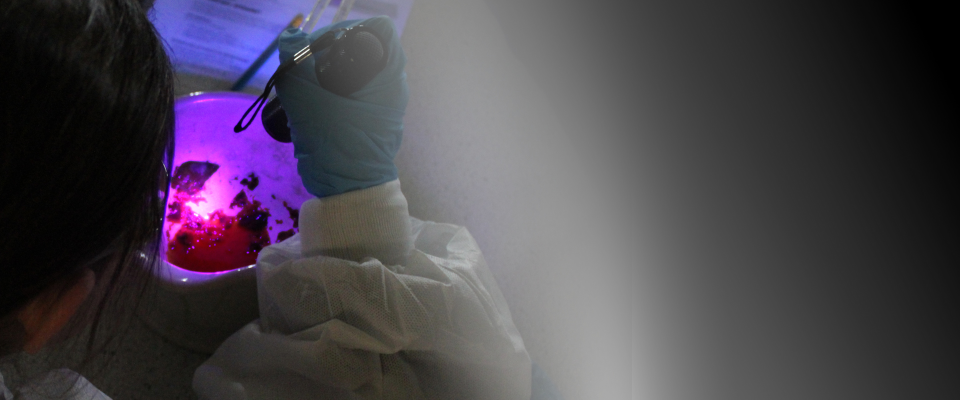 Vacancy for teacher of Science, Gillingham School Dorset