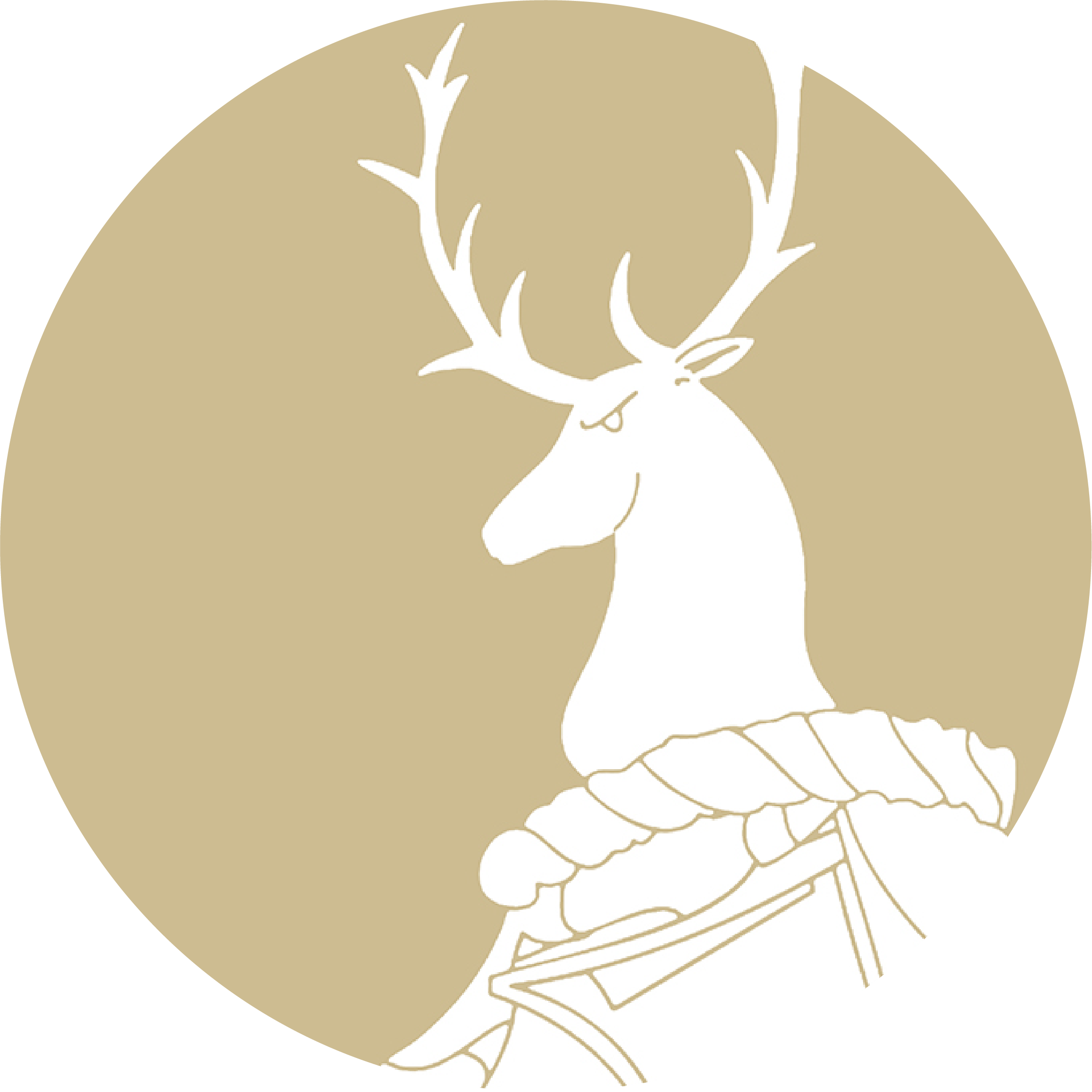 Gillingham School Alumni